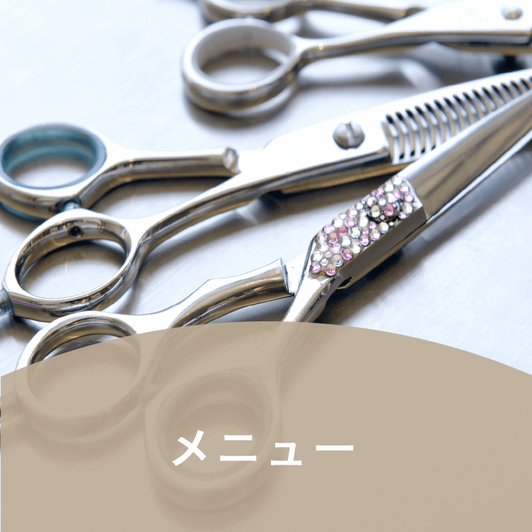 料金・メニュー